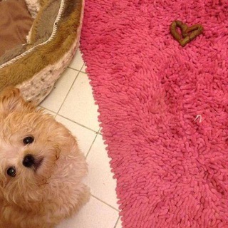 Розовый паяльник