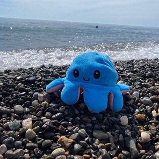 Я придумал! Дневник осьминожки🐙