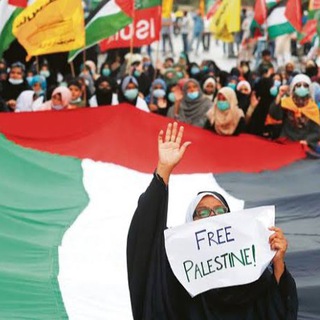 заметки феи