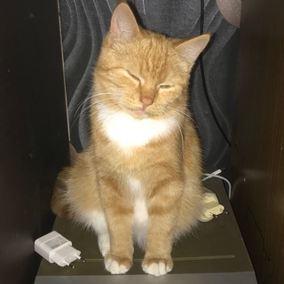 Юра, что вы сделал?!?!