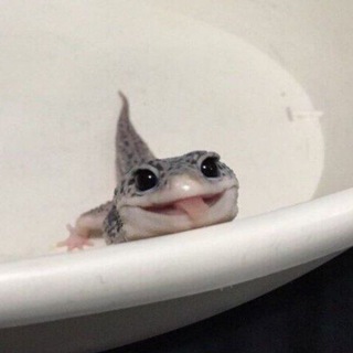 Клуб «китайская гора»