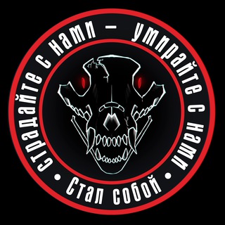 ФУРРИ НОВОСТИ