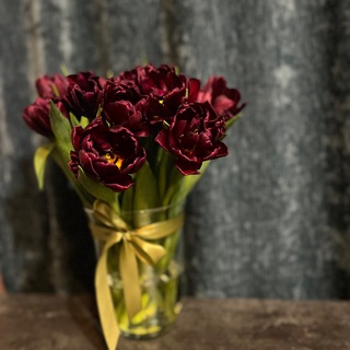 Заметки Мари📝