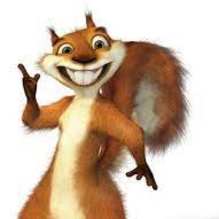 dumboshawty beatstore