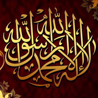 Душа Саляфов