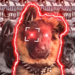 🖇❤Альма Немец ❤️🖇