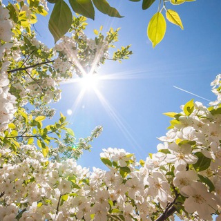 ДУХОВ☦️МИР