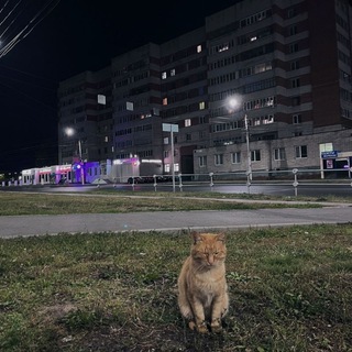 Это я и как я докатился до жизни такой