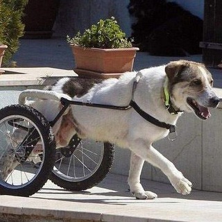 Ебалютый вопрос