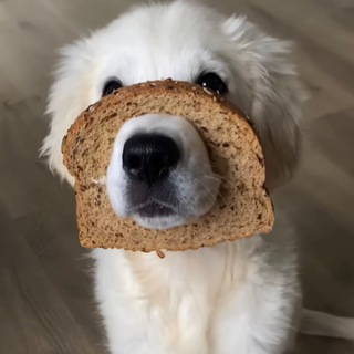 кушай, никого не слушай