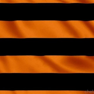 Единое Отечество