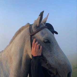 𝙣𝙖𝙥𝙤𝙢𝙞𝙣𝙖𝙣𝙞𝙚.