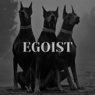 𝐄𝐆𝐎𝐈𝐒𝐓⚡️