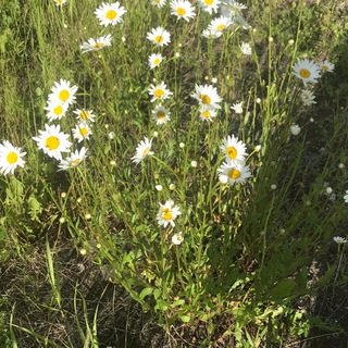 События #Новости