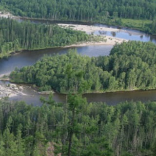 Экология Сибири