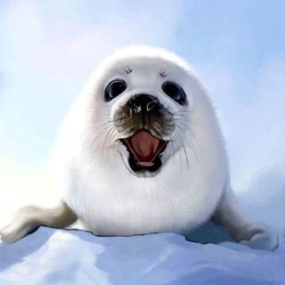 Экскурсии на Байкал