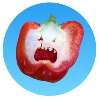 Ельчанинова и контент