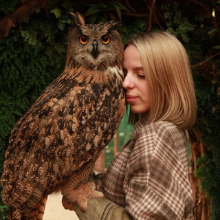 Мастерская Совы🦉