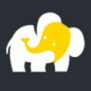 🐘 Elephant News Channel