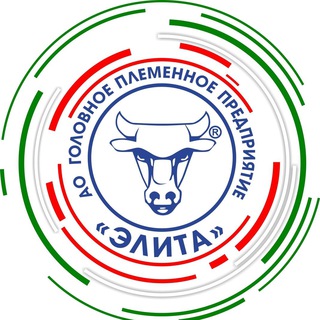 АО ГПП «Элита»