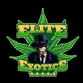 Elite Exotics