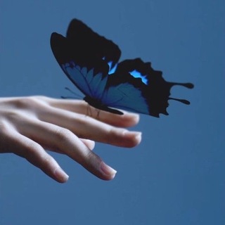 𝐄𝐌𝐈𝐋𝐈𝐘𝐀🦋