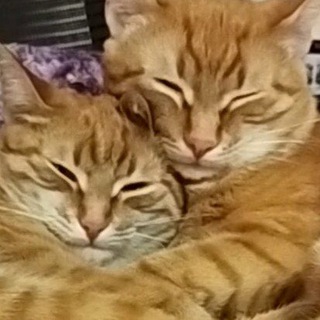 Эмоции без ума