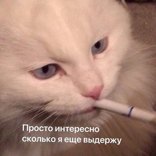 Теперь без Энви