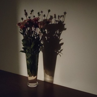 вечная весна + remove before flight