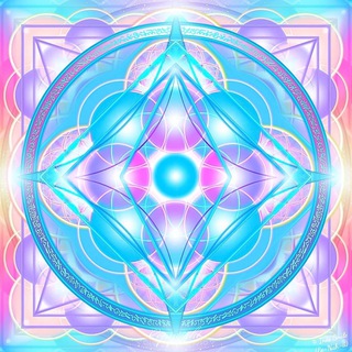 FEEL LIFE Чувствуй жизнь 🌍