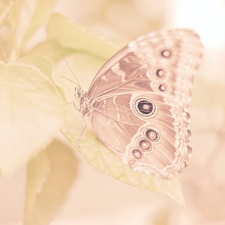 Энерголайф