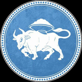 Энгельс - Новости (дайджест)