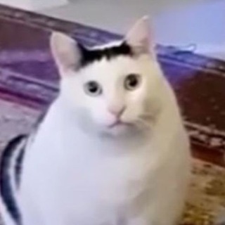 Инглишу НЕ Научишб