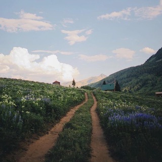 Дорожный - Фотографии дорог