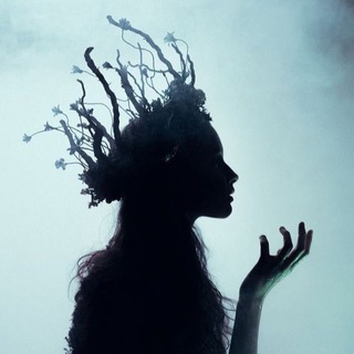 ЭСТЕТИКА МЫСЛЕЙ🫀