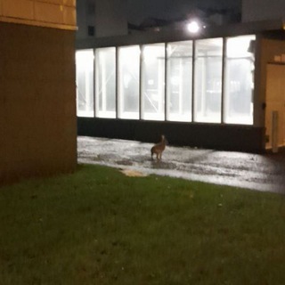 Радио Тысячи Озёр