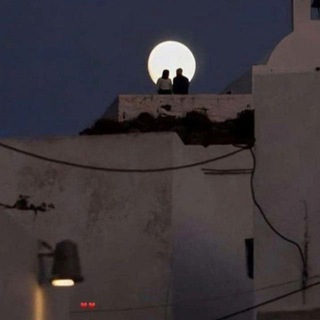 𝐄 𝐗 𝐂 𝐋 𝐔 𝐒 𝐈 𝐕 𝐄