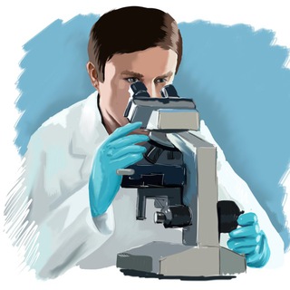 Независимый эксперт