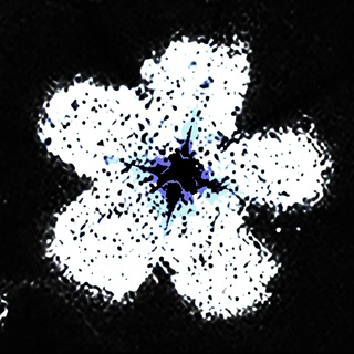 𝗲𝘅𝘁𝗻𝗱𝗱++𝘀𝗵𝗲𝗹𝘁𝗲𝗿