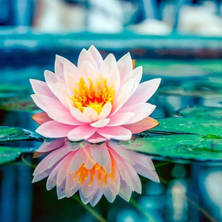 💫🪐✨АФИРМАЦИИ✨🪐💫