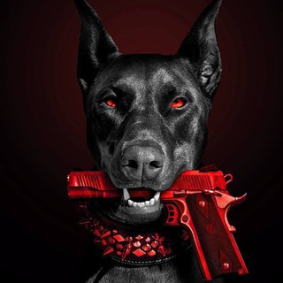 𝚃𝙾𝙿 ᴍᴜsɪᴄ🤍