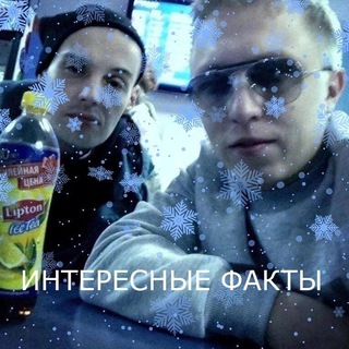 Интересные факты