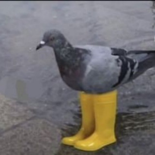 Факты Факты