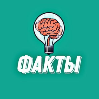Факты