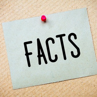 Факты