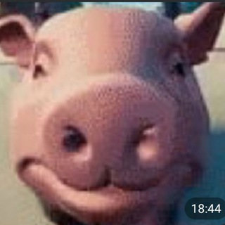 Переводы fairody | Имаидзуми | Зенит Колдовства