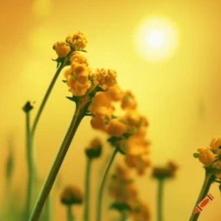 Христианский Клуб 