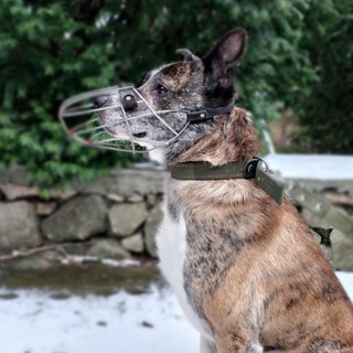 Наркотик👾