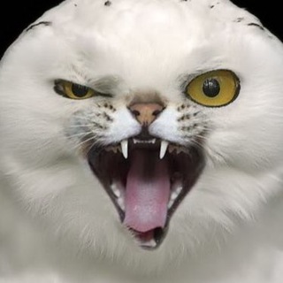 Фейки про Кузбасс