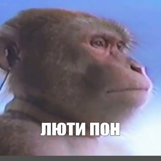 Слава Украiнi